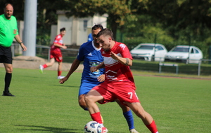 68bee3cd70f26_CosneBMigennes1004.JPG
