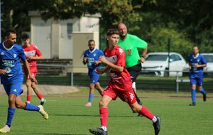 68bee3d107a34_CosneBMigennes1005.JPG