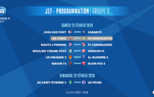 N3 (J17) : COSNE - ROMORANTIN, déjà au pied du mur !