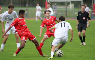 Les U18 cosnois font douter Dijon PTT, 1 - 1