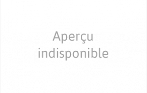 N3 : COSNE - ROMORANTIN (0-1)